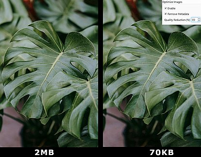 Optimize Images Thumbnail